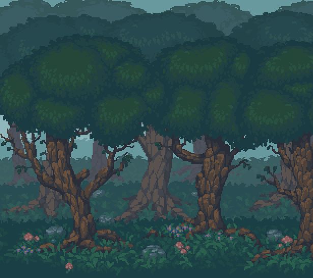 The forest background image