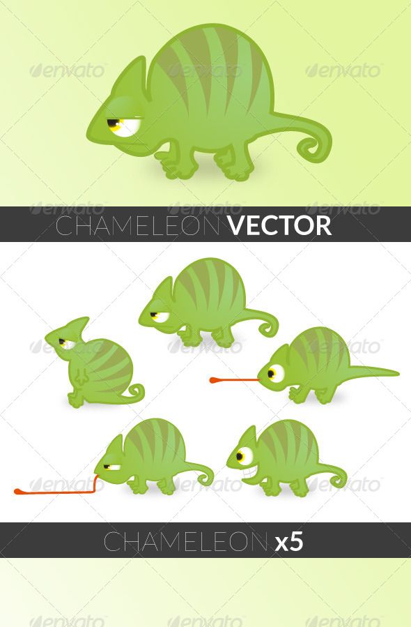 Chameleon